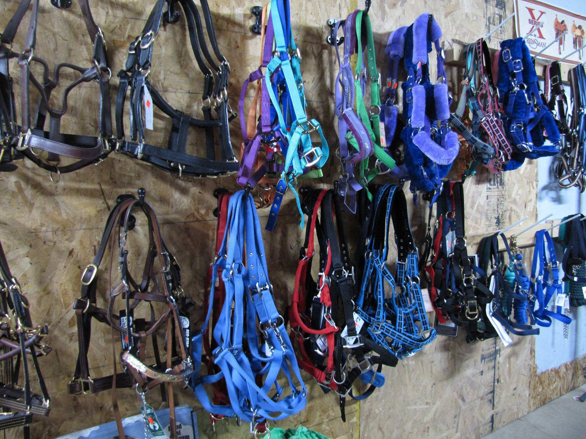 animalerie-accessoires-pour-animaux animalerie avec accessoires pour animaux