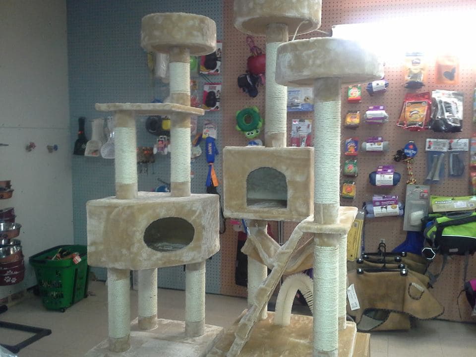 animalerie-accessoires-chat animalerie avec accessoires pour chat